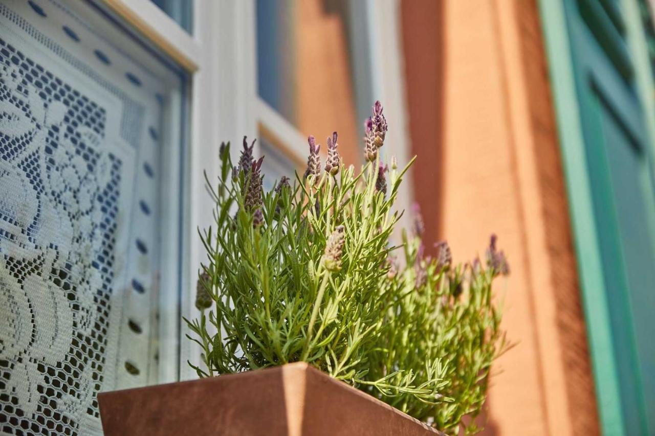 Neu!!! Moselbleibe Uferallee Apartment *